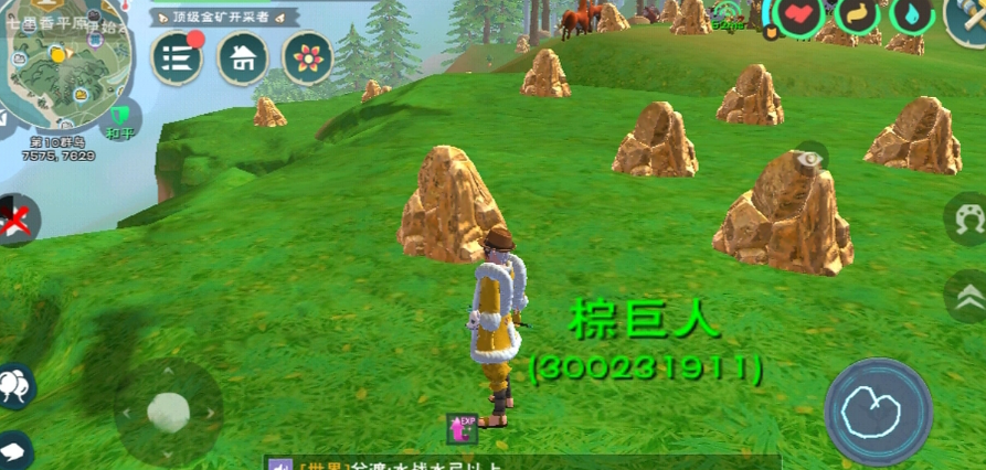 创造与魔法哪个地方金矿最多