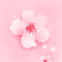 春雨直播打扑克