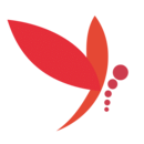 蜻蜓主播手机app官方版免费安装