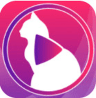 视吧直播手机版