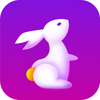 四季直播app