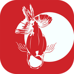 秀儿直播