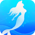 来秀直播app