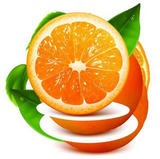 橙子直播app