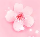 桃花视频app
